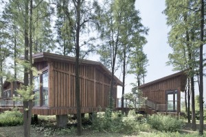 03 Metasequoia-Wood-Cabins-by-UAO