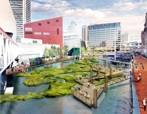 005-2018-asla-research-award-of-honor-urban-aquatic-health-integrating-new-technologies-and-resiliency-into-floating-wetlands-by-ayers-saint-gross-960x742