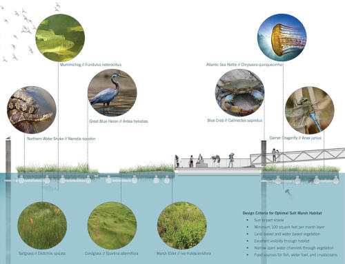 006-2018-asla-research-award-of-honor-urban-aquatic-health-integrating-new-technologies-and-resiliency-into-floating-wetlands-by-ayers-saint-gross