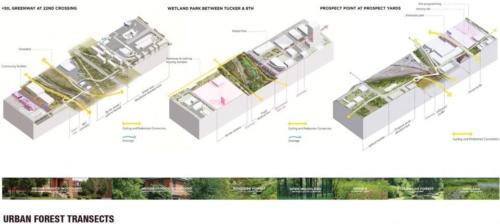 020-2019-asla-analysis-and-planning-award-of-honor-stl-growing-an-urban-mosaic-in-st-louis-tls-landscape-architecture-shanghai-object-territories-and-dhd-derek-hoeferlin-design-960x431